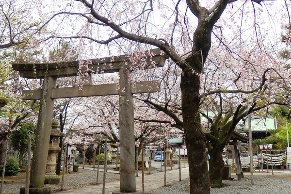 ���޿���