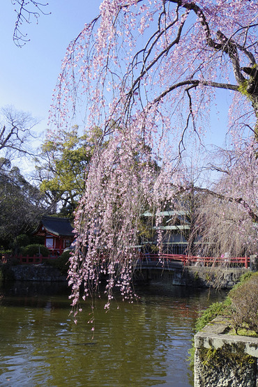 �������201403