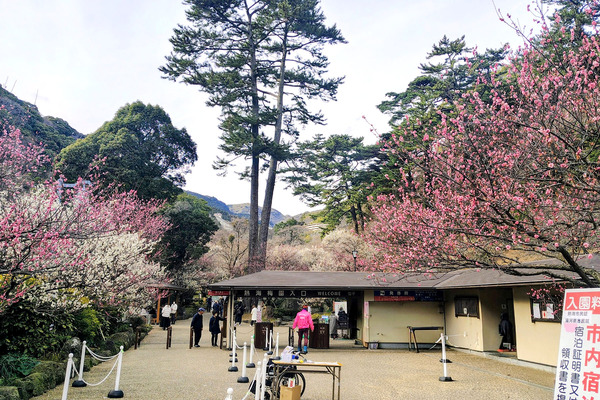 Ǯ���߱� 202601