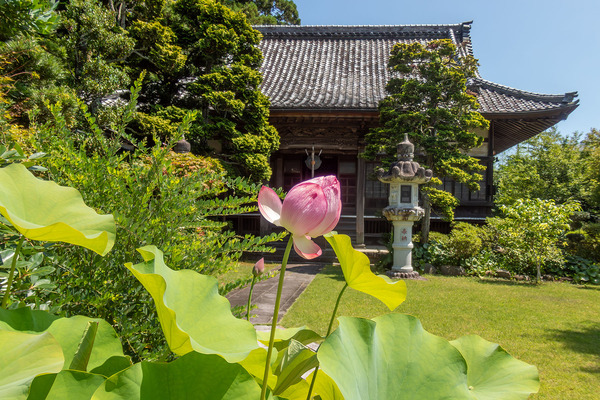 宝金剛寺 2025-2