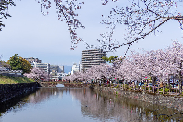 ���ĸ���κ�2002-2