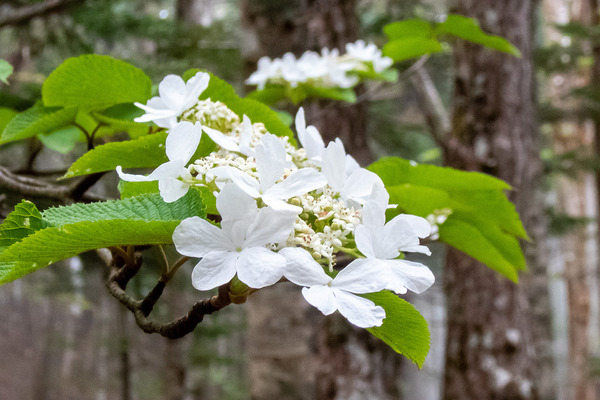 �ٻλ��������λ���������