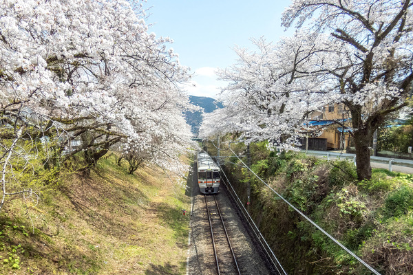 ���̱ؤΥ��ᥤ�襷�� 2025-2