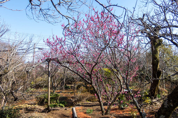 ��������� 2026-3