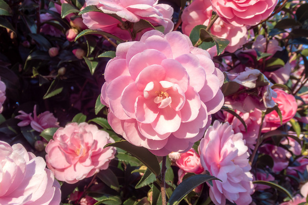 ���뱿ư����Υ����� 2025-1