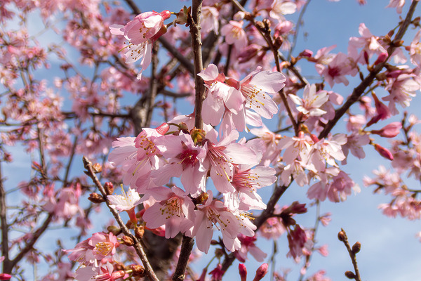 �Ӿб���ٻκ� 2026