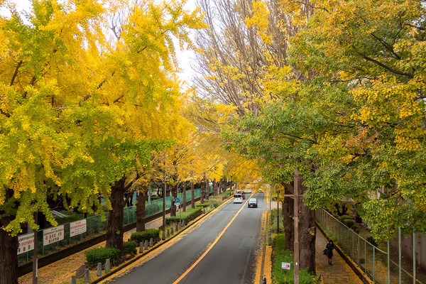 ���硦�����̤�ζ������2022