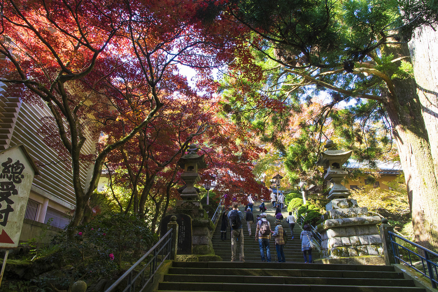 大雄山最乗寺の紅葉 14 季節の花だより はなつうwest Blog 大雄山最乗寺の紅葉 14 季節の花だより はなつうwest Blog
