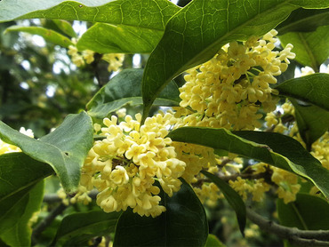 ������ҥ���⥯����2