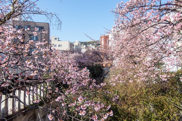 �����ߺ� 2026-2