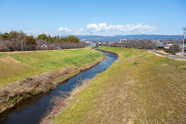 ���Ķ���������� 2026-1