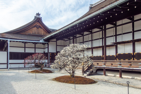 ���Ը��ι������ 2026