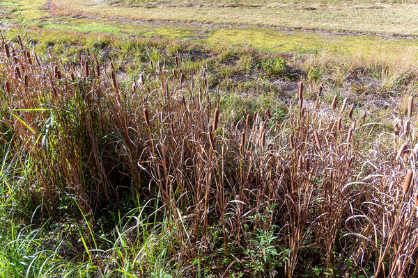 ���ޤ��� 2025-2