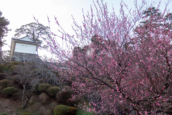 ���ĸ������2023-1