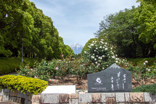 広見公園のバラ 2025-1