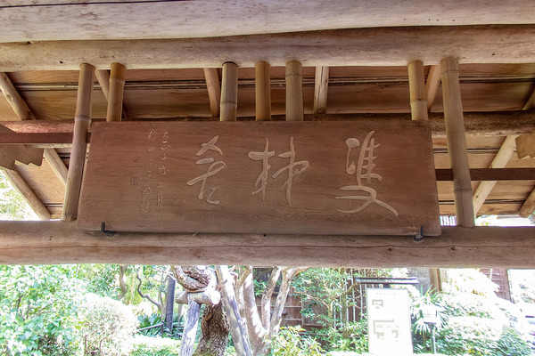 双柿舎の春2023-3