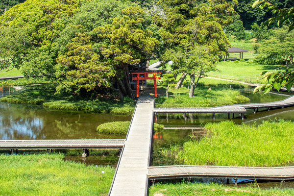 厳島湿性公園 2025-2
