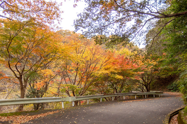 �������ι��� 2025-2