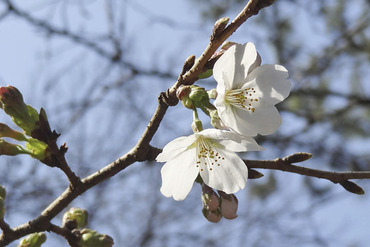 ����š��ǰ����κ�2013