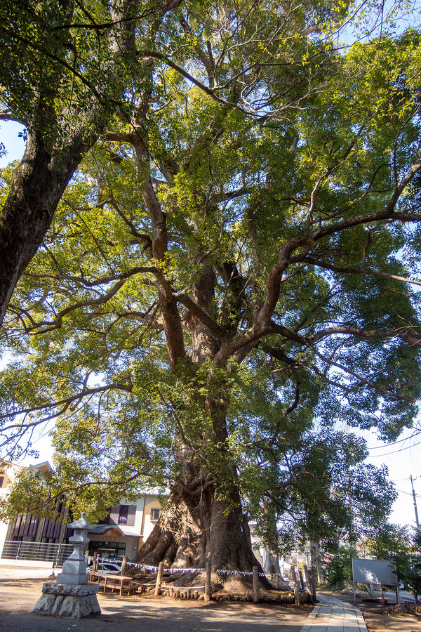 ŷ�Ͽ��ҤΥ����Υ� 2026-1