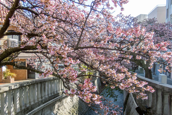 �����ߺ� 2026-1