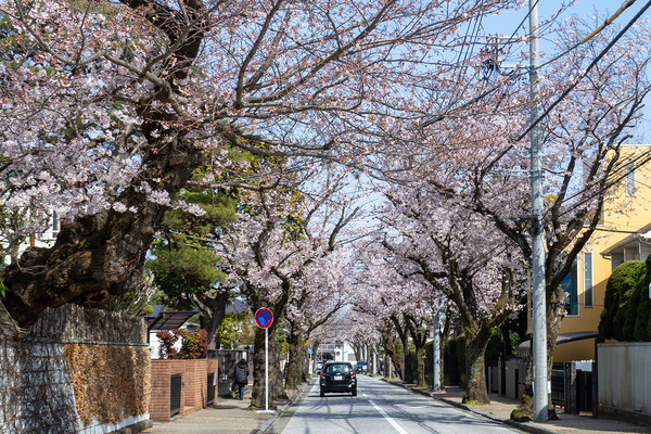 小田原文学館2022-2
