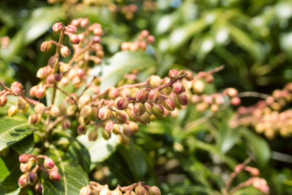 �ⴧ���Υ�����1