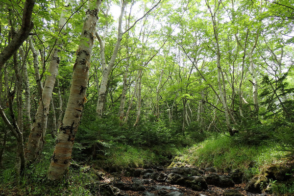 �������Υ��������1