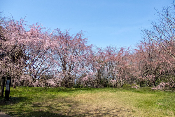 ��ӻ��λ������2024-1