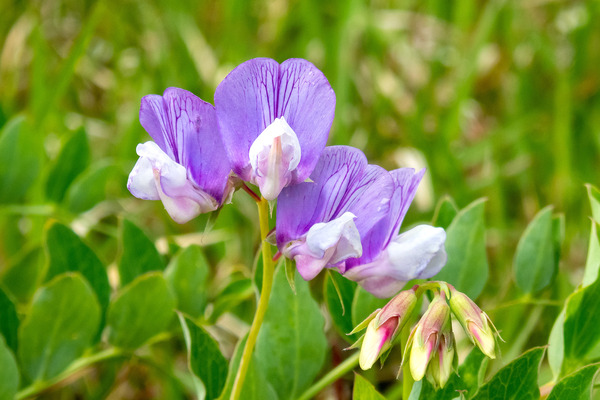 �ϥޥ���ɥ�2024-1