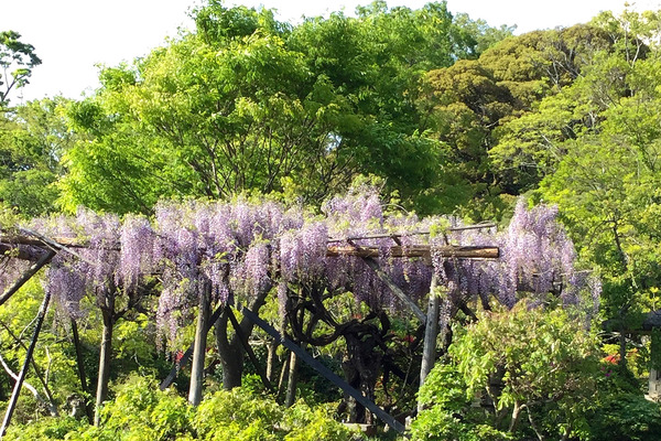 �ڼ����ƣ2017