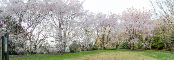 ��ӻ������ 2025-3