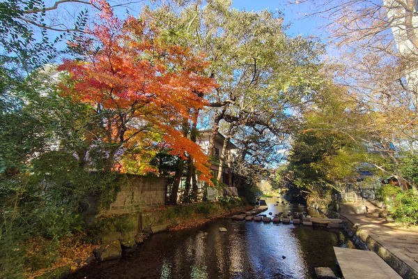 ��ʼ����ι��� 2025