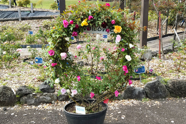 �����ο� ���Х�վ޲� 2023