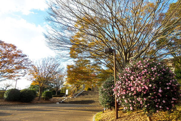 ���뱿ư����Υ����� 2025-2