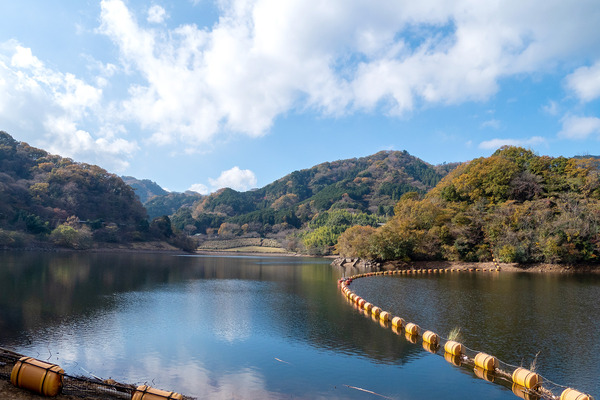 松川湖の紅葉2023-1