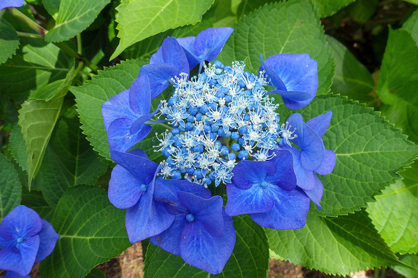 ���Ÿ���š��ǰ���񱢤Υ�������2021-2