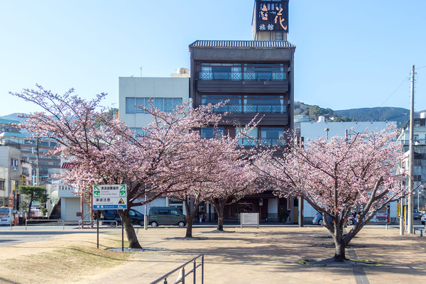 �����ߺ� 2026-4