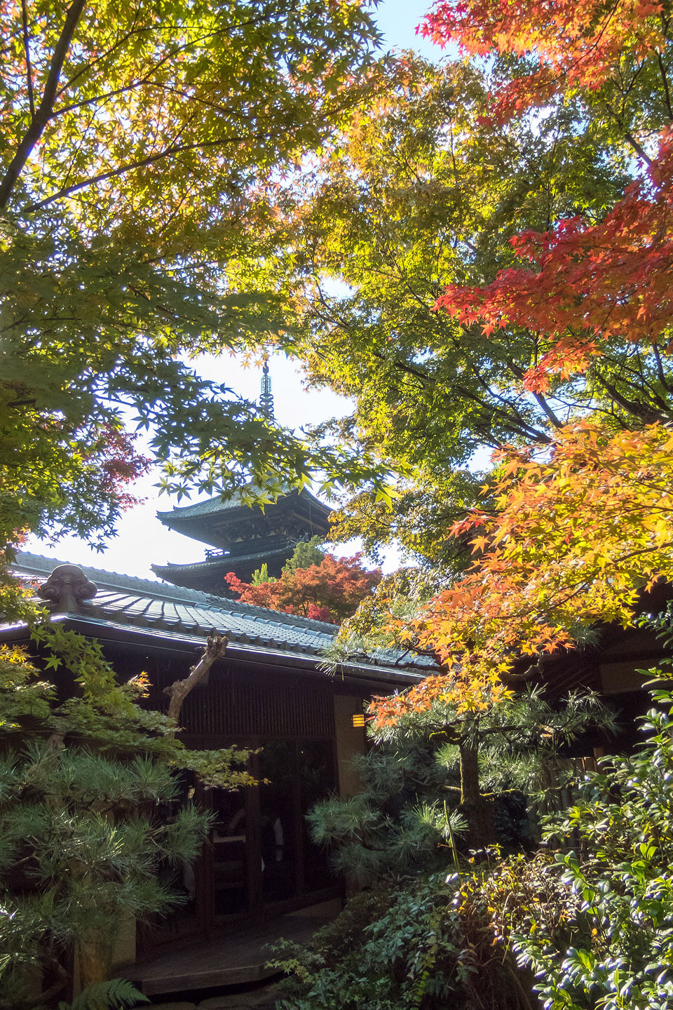 熊倉山 (東京都)