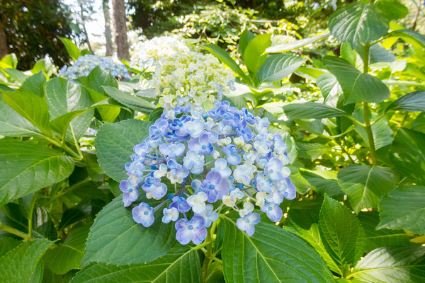 ���Ÿ���š��ǰ����Υ�������-2