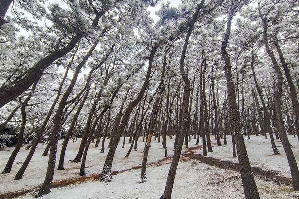 ������ܾ��� 2026-2