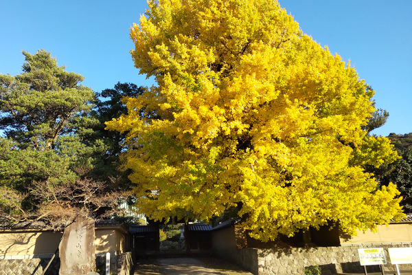 ����ζ�ɤι���2023-1