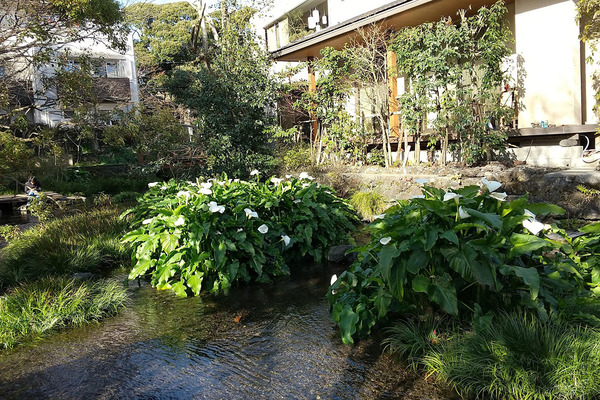 ��ʼ����Υ��顼