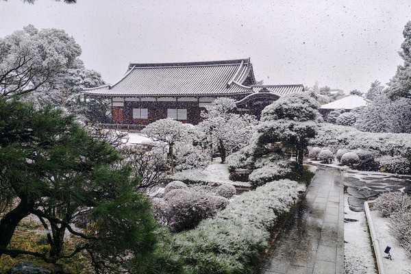 �㲽�Ѥξ豿�� 2026-1