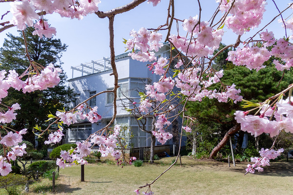 小田原文学館2022-1