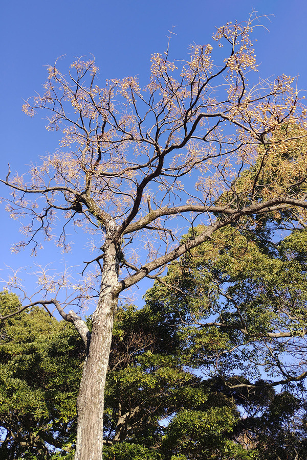 �������μ� 2025-2