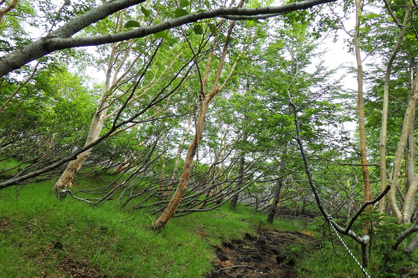 �������Υ��������2