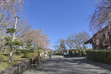 ���¾� ʿ�¸���κ� 2013-1