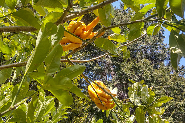 �������ʩ�괻