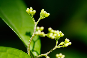 ��饵�������֤β�2014-2